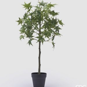 Acero con vaso H 76