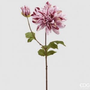 Dalia real cm 60-Bellezza senza tempo per i tuoi ambienti