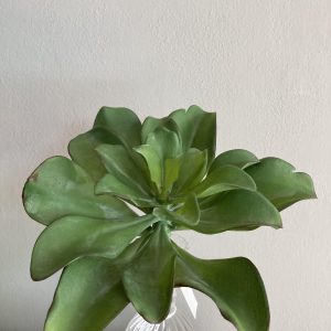 Succulent Pick H18