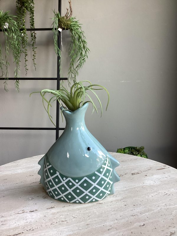Vaso testa pesce H16xL15