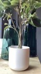 Vaso ceramica classic H15 D16