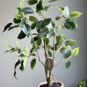 unnamed (6)