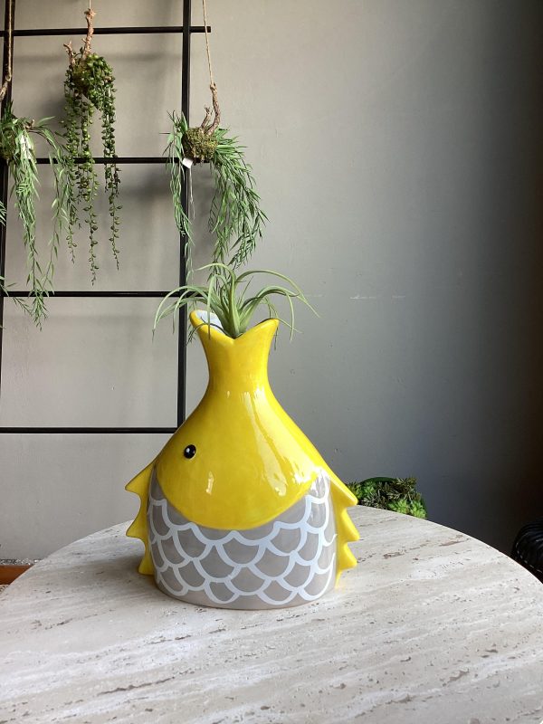 Vaso pesce testa H24 L20