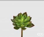 Succulent pick H 14 D 10
