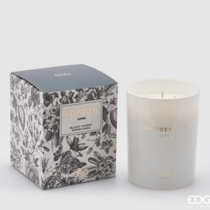 Candela profumata black forest aspen 470gr durata 48h