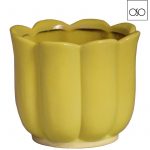 Vaso Blossom color yellow H13 D13