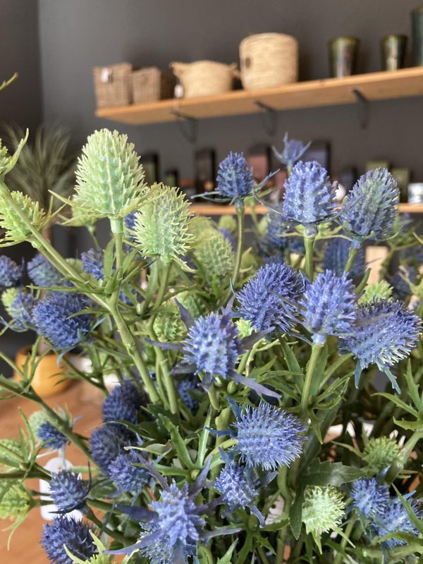 Eryngium ramo disponibile in due colori blu e verde H50