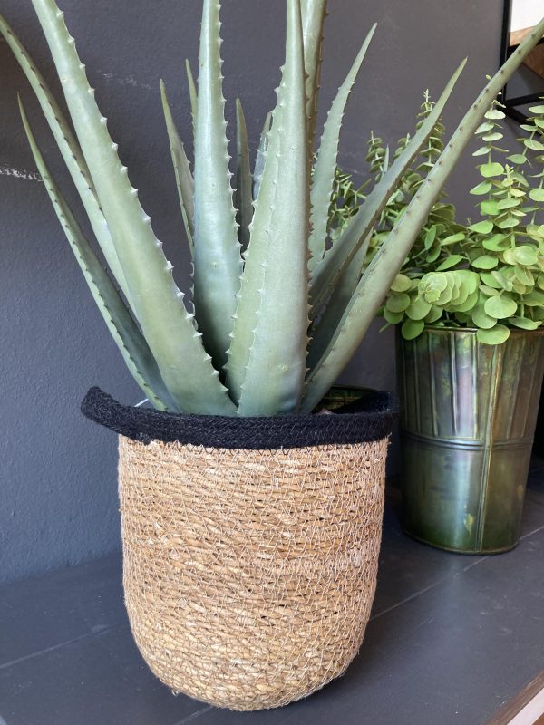 Cesta portapianta bordo nero con manici small D19  H20