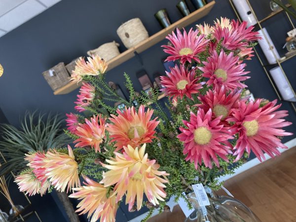 Margherita kaps ramo 2 colori H60