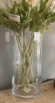Vaso vetro cilindro H30 D15