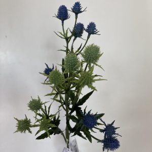 Eryngium ramo disponibile in due colori blu e verde H50