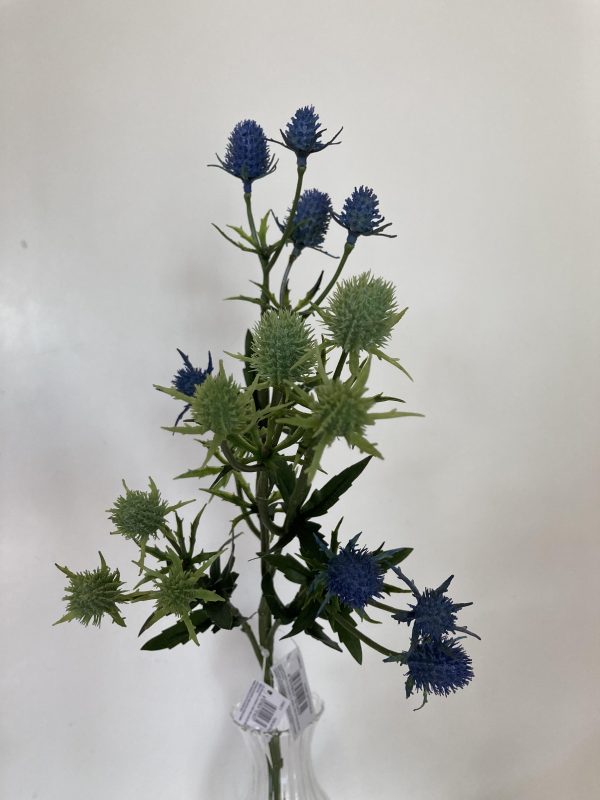 Eryngium ramo disponibile in due colori blu e verde H50