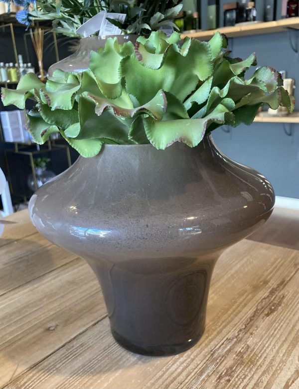 Vaso disco H20 D24