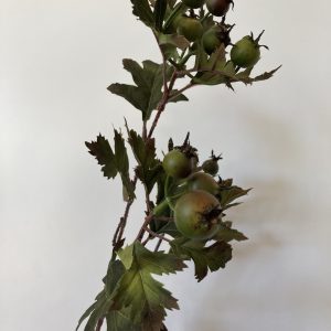 Ramo con bacche e foglie colore verde H 75 cm