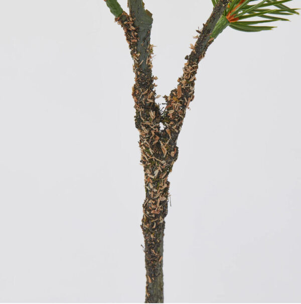 Pino ramo original x2 H82 L23