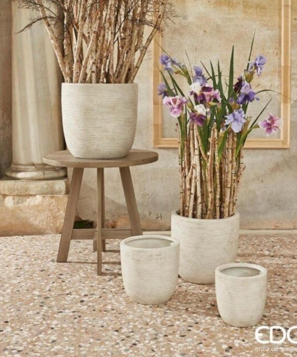 Betulla ramo H60 - mazzo 20 pezzi