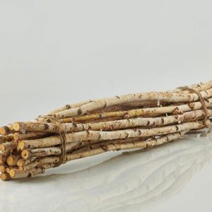 Betulla ramo H60 - mazzo 20 pezzi