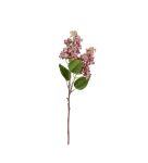 Tralcio lilla poliestere rosa