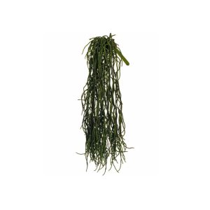 Radice da appendere verde H56 cm