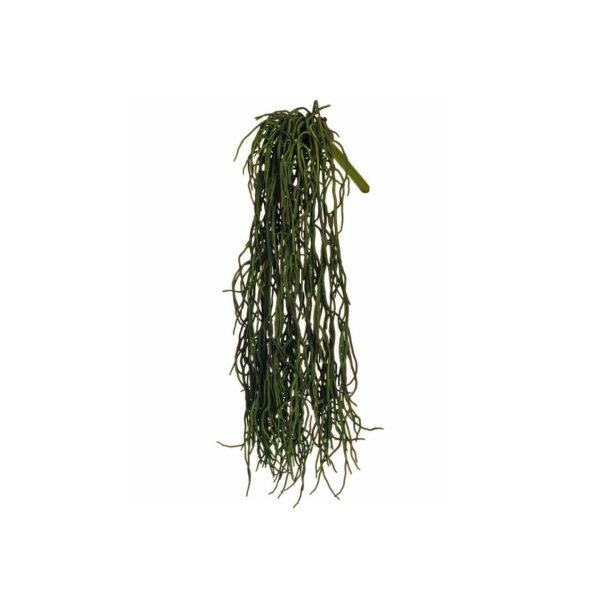 Radice da appendere verde H56 cm