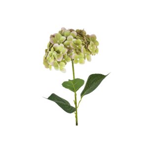 Ortensia verde d17 h75cm