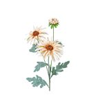 Ramo dalia x3 fiori poliestere crema