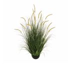 fili d'erba e setaria c/vaso d20 h10 verde- Pianta H120