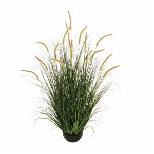 fili d'erba e setaria c/vaso d20 h10 verde- Pianta H120