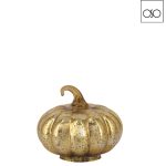 zucca lucida piccola oro 13x12H