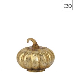 zucca lucida piccola oro 13x12H
