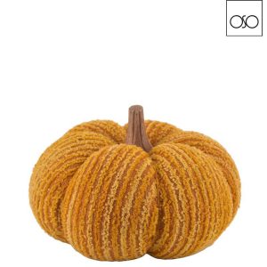 Zucca barucca media arancio d15 h15