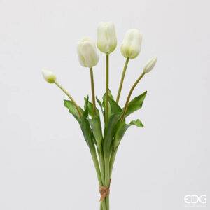 Tulipano con foglie mazzo 5 pz H48