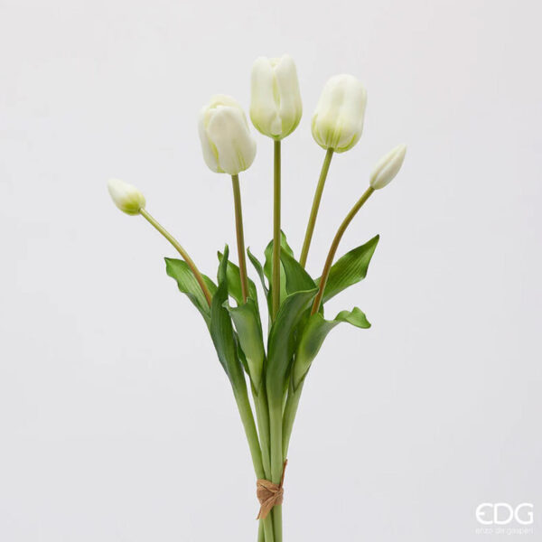 Tulipano con foglie mazzo 5 pz H48