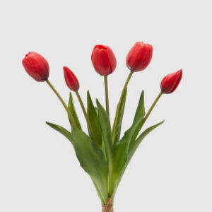 Tulipano con foglie mazzo 5 pz H 40