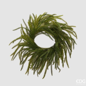 Cryptomeria corona D 35