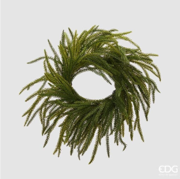 Cryptomeria corona D 35